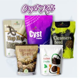 Cyst Kit