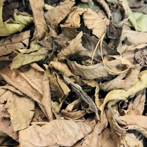 Guava Leaf (Fèy Gwayav) – Dried Leaves