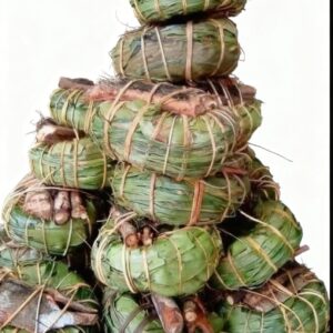 Aju Mbaise – Deep Womb Cleanse Herb