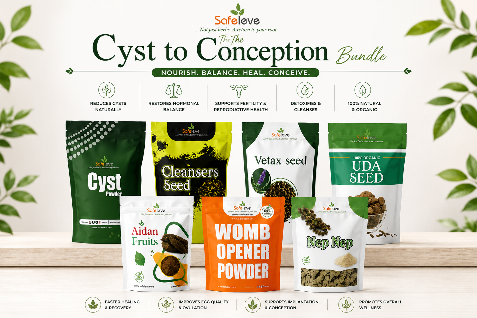 THE Cyst to Conception
BUNDLE